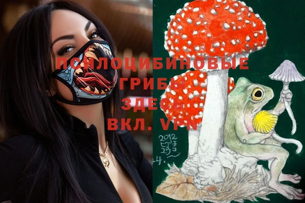 Альфа ПВП Новодвинск