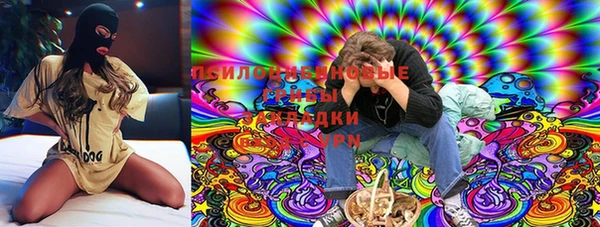 Альфа ПВП Новодвинск