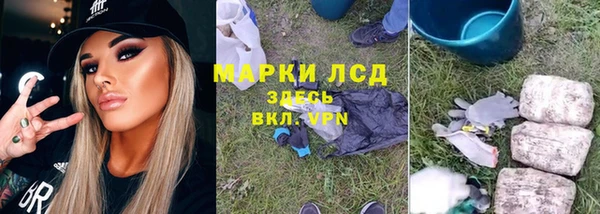 Альфа ПВП Новодвинск