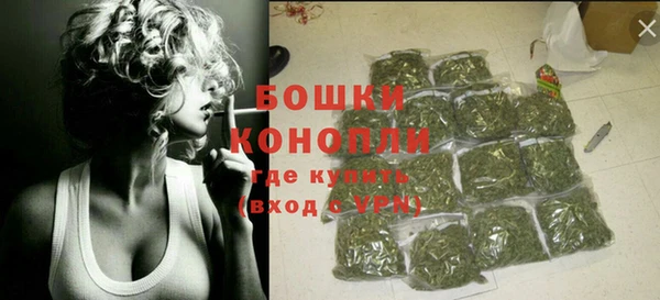 бошки Новозыбков