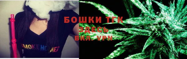 бошки Новозыбков