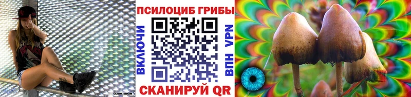гидра сайт  закладки  Каневская  Галлюциногенные грибы Psilocybine cubensis 